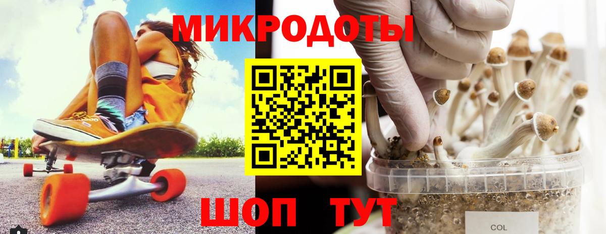 Галлюциногенные грибы MAGIC MUSHROOMS  Вход с VPN  Астрахань 